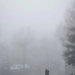A Very Foggy Morning by njmom3