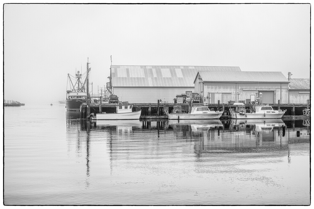 Boats at Rest by cdcook48