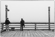 23rd Feb 2024 - Fishing in the Fog