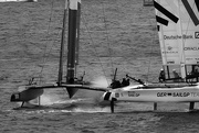 24th Feb 2024 - SailGP in Sydney Harbour sportsaction19 There was no collision here between Germany and Spain!!