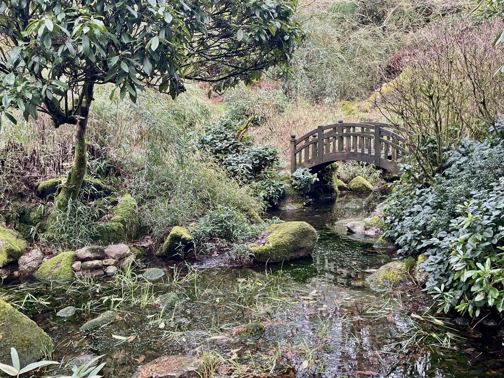 The Japanese gardens  by callymazoo