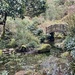 The Japanese gardens  by callymazoo