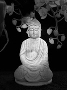 24th Feb 2024 - Buddha On a Table