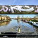 Rowing on the Lea 