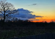 24th Feb 2024 - Oxfordshire sunset