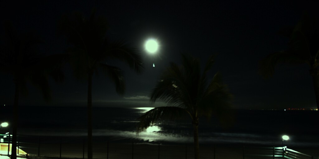 Moon lights up the night by jerzyfotos
