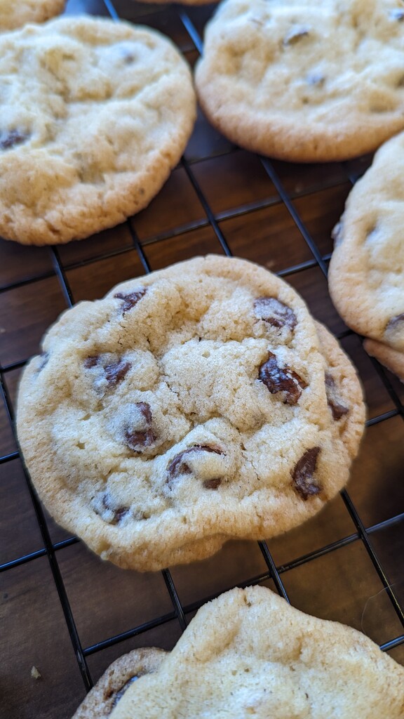 Cookies by julie