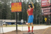25th Feb 2024 - Wonder Woman!