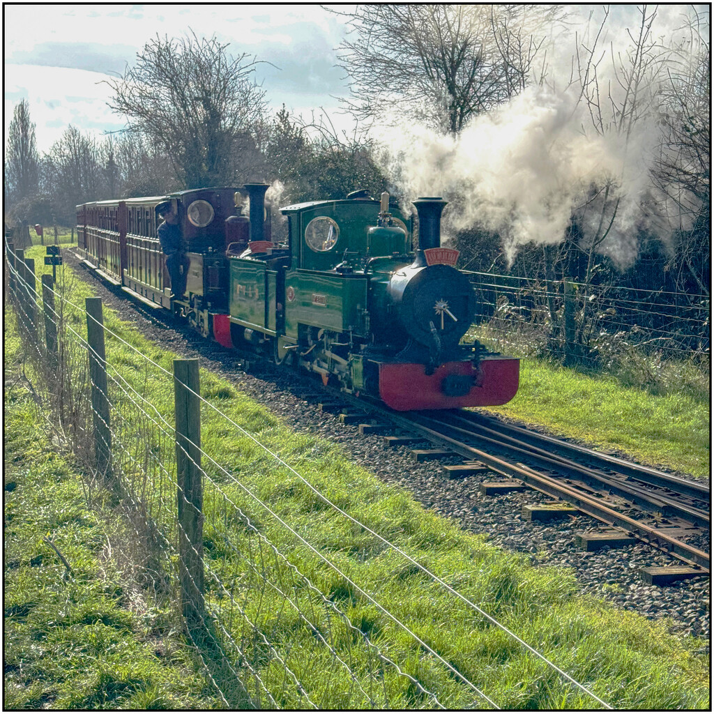 Miniture train at Evesham garden centre. by clifford