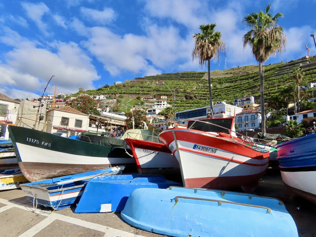 Camara de Lobos by orchid99