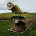 Owl sculpture