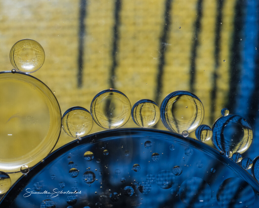 Bubbles and stripes by sschertenleib