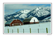 24th Feb 2024 - Two Red Barns