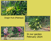 26th Feb 2024 - In the garden