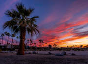 25th Feb 2024 - Palm Springs Sunrise