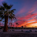 Palm Springs Sunrise by cdcook48