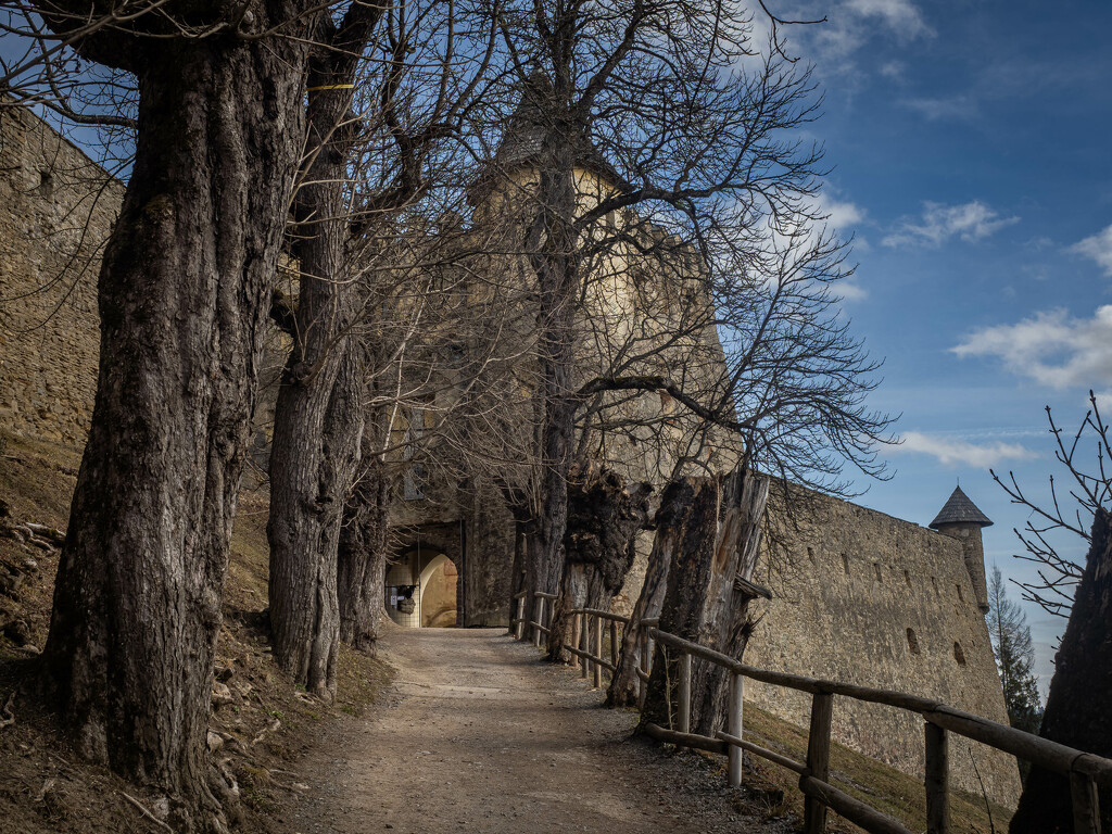 The road to the castle by haskar