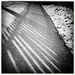 Shadows | Black & White by yogiw