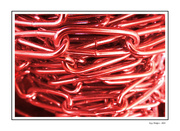 25th Feb 2024 - Red Links