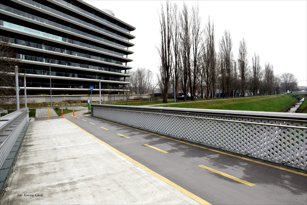 Bridge for pedestrians and cyclists by kork