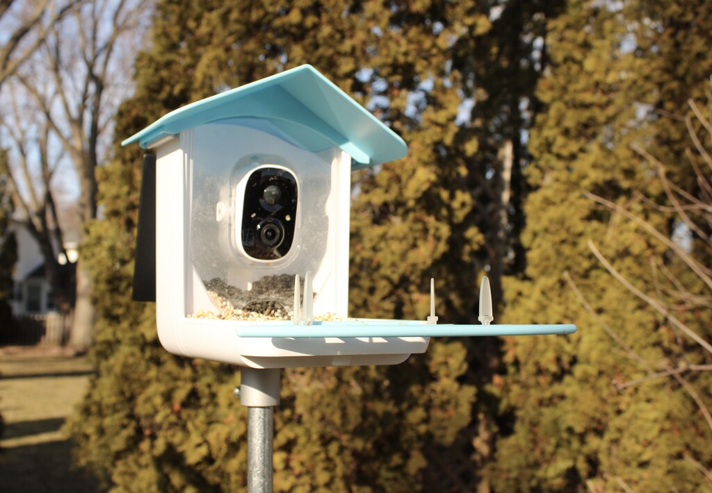 Bird feeder with camera by mltrotter