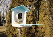 26th Feb 2024 - Bird feeder with camera