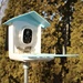 Bird feeder with camera