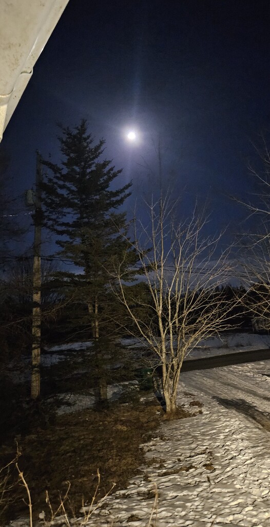 An almost Full Moon by jcdavis