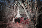 25th Feb 2024 - Abandoned Barn