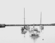27th Feb 2024 - Oamaru Harbour