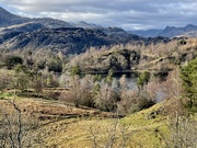 26th Feb 2024 - Looking down on Tarn Hows