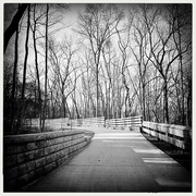 25th Feb 2023 - Walking From Red Bank | Black & White