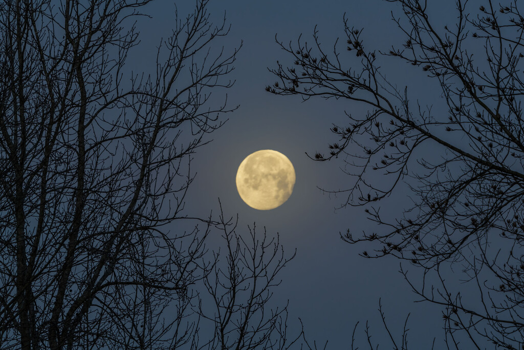 Moonset by kvphoto