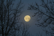 26th Feb 2024 - Moonset