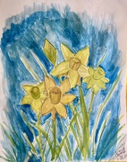 27th Feb 2024 - Daffy for Daffodils 