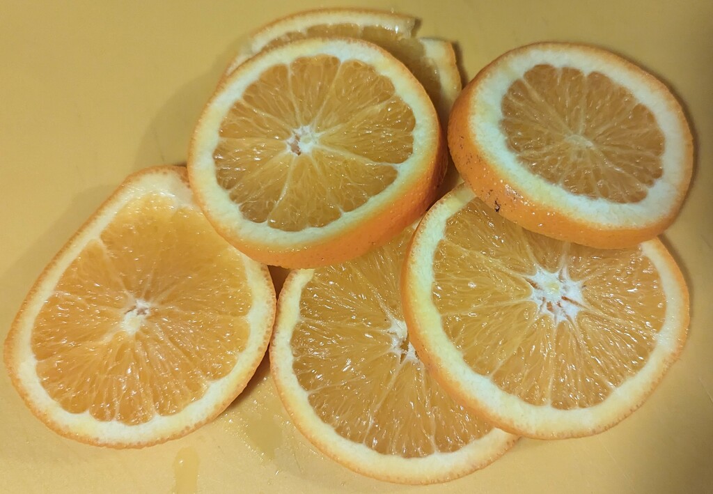 Orange Slices  by julie