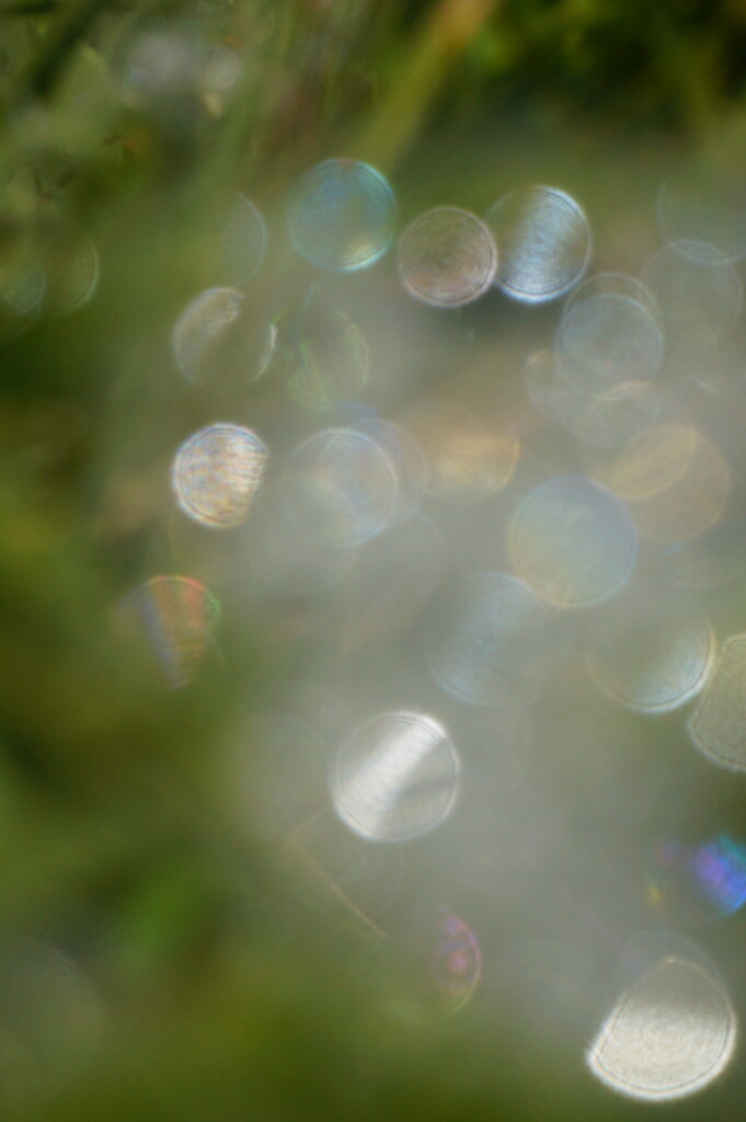 Bubble Bokeh by photohoot