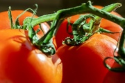 28th Feb 2024 - Two-Fer Tomato