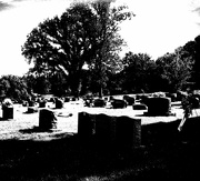 28th Feb 2024 - Cemetery