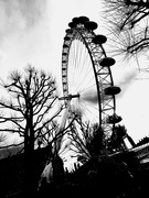 28th Feb 2024 - The London Eye