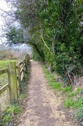 28th Feb 2024 - Cotswold Way