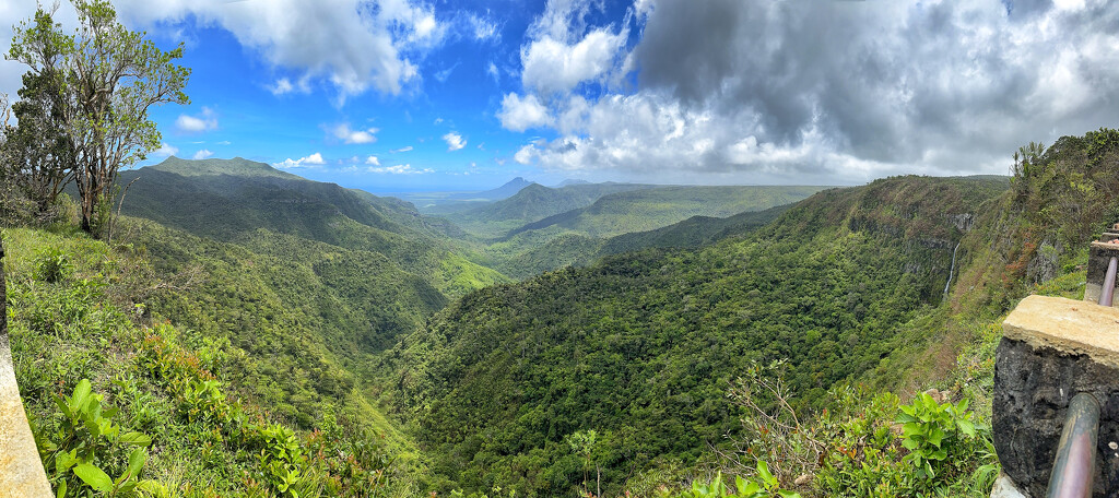 Panorama on the black river national park.  by cocobella