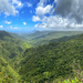 Panorama on the black river national park. 
