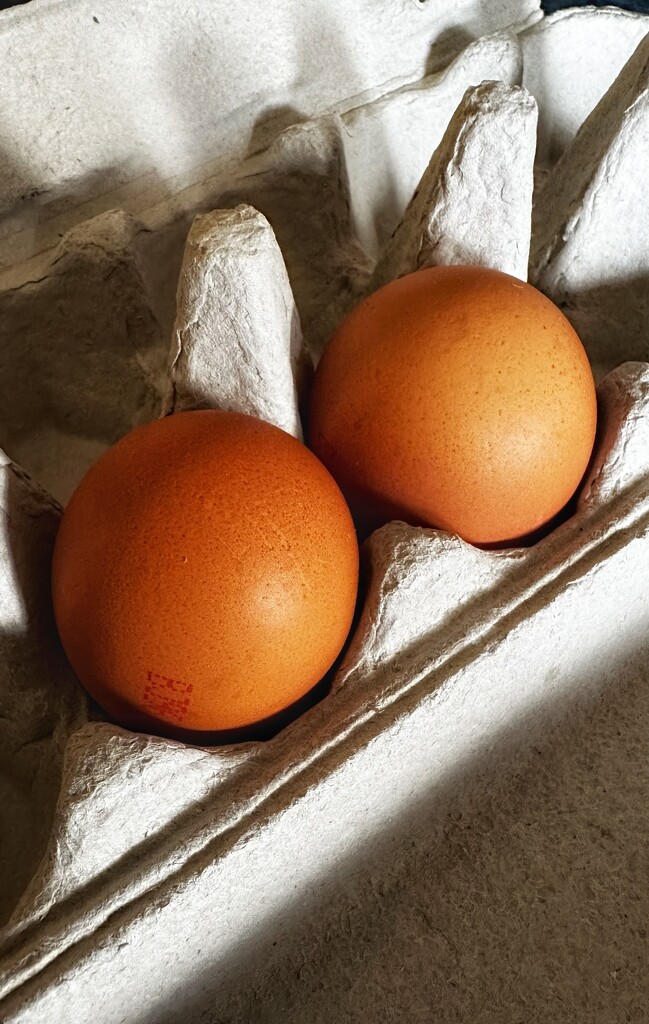 Eggs for breakfast by joluisebeth