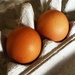 Eggs for breakfast by joluisebeth