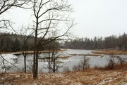 28th Feb 2024 - Pond Landscape