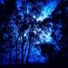 The Night Sky by aq21