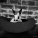 IMG_0688 Stash the magic Rabbit in the hat