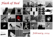 29th Feb 2024 - And So Ends Flash of Red 2024
