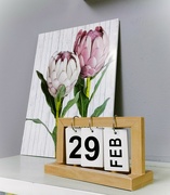 29th Feb 2024 - Twenty Nine February